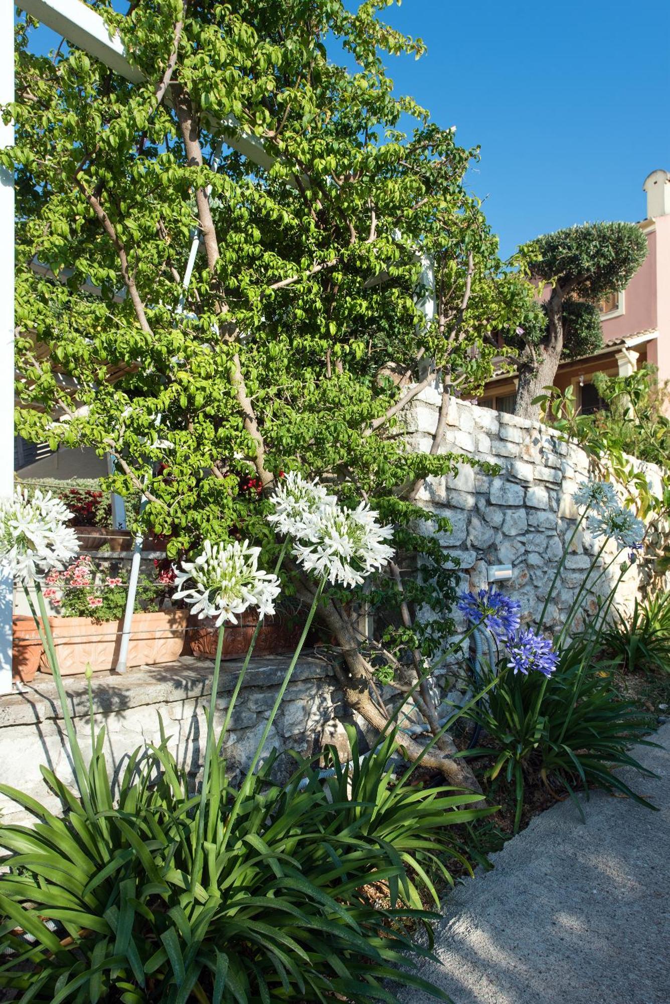 Lofos Hotel Kassiopi Exterior foto